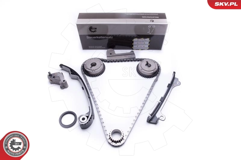 Timing Chain Kit
